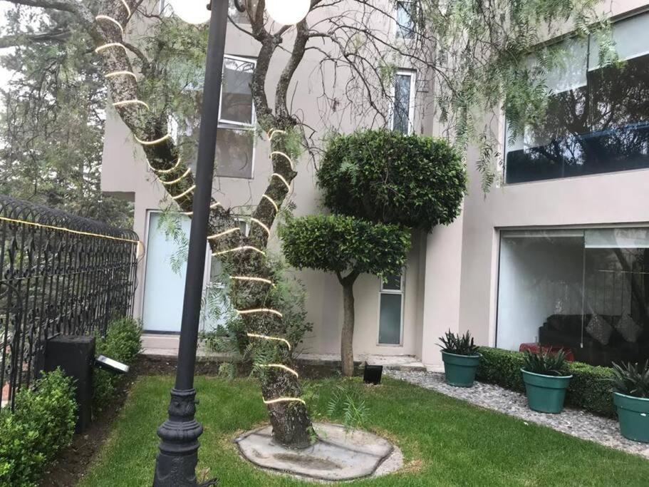 Hermoso Departamento En Bosques De Las Lomas Dos Habitaciones Mexico-stad Buitenkant foto