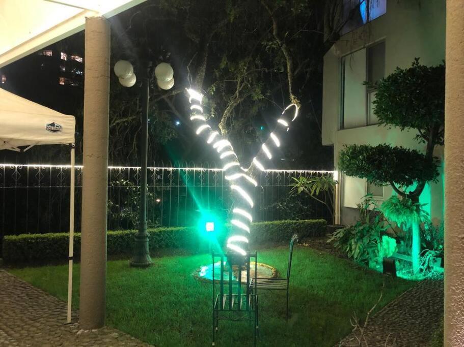 Hermoso Departamento En Bosques De Las Lomas Dos Habitaciones Mexico-stad Buitenkant foto
